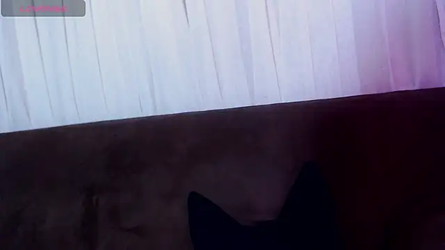 AlissonnFoxx online show from 2, 6, 2026