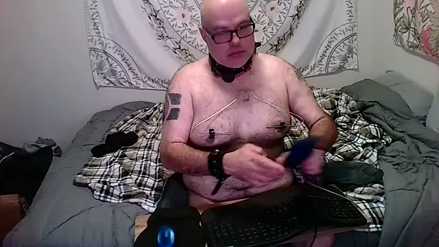 Snapshot of piggy4pain chatting on 9, 11, 2025 piggy4pain online show from 9, 11, 2025