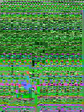 Snapshot of kvr27 chatting on 12, 7, 2026 kvr27 online show from 12, 7, 2026