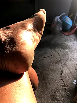 kvr27 online show from 14, 12, 2025