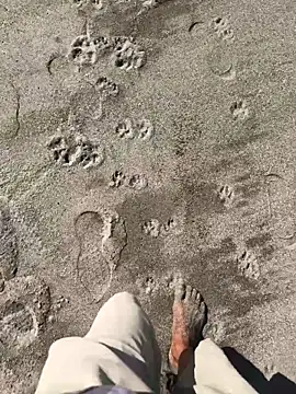 kvr27 online show from 7, 1, 2026