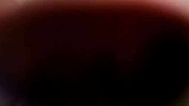 Lustylia online show from 7, 1, 2026