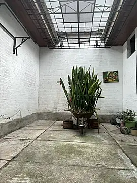 oliver price1 online show from 10, 1, 2026