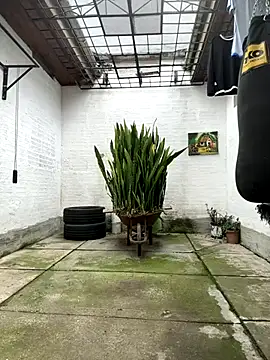 oliver price1 online show from 15, 11, 2025