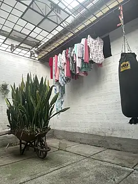 oliver price1 online show from 28, 3, 2026