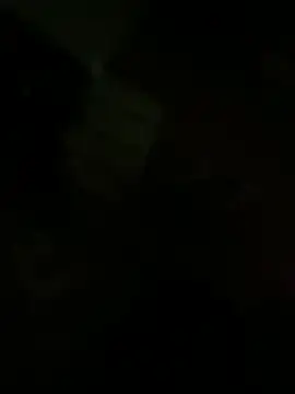 speedyg16 online show from 11, 12, 2024